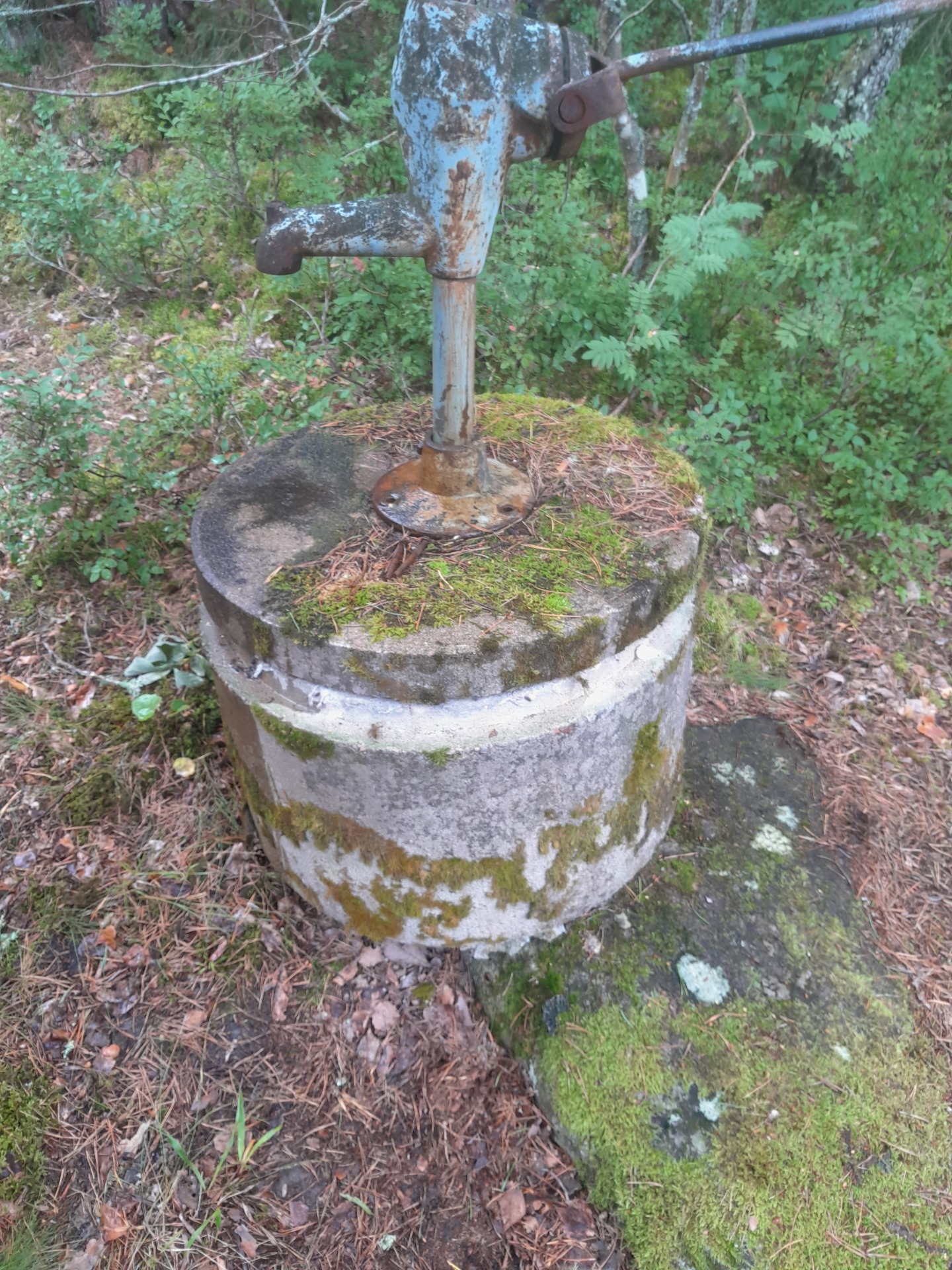 Kaivojen pesut ja desinfioinnit