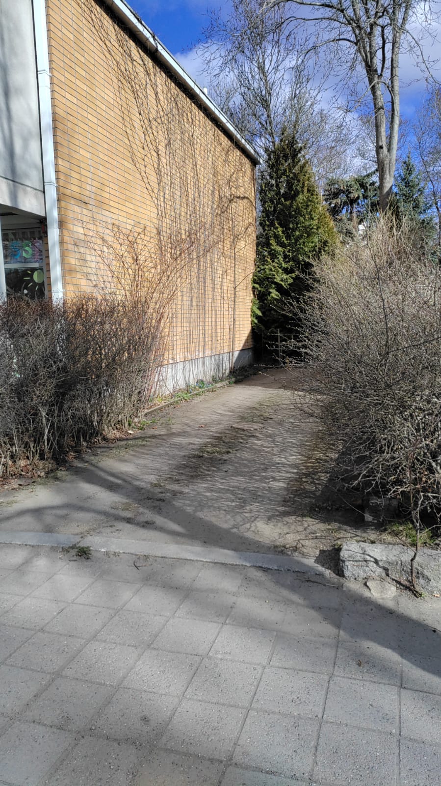 Pihan huuhtelu tai painepesu